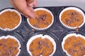 Add the choco chips to the top of the muffin batter membuat kue muffin Royalty Free Stock Photo